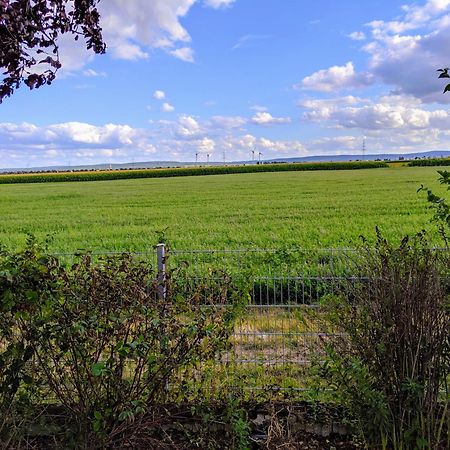 Grosse Schoenheit Mit Panoramablick Euskirchen Exteriér fotografie